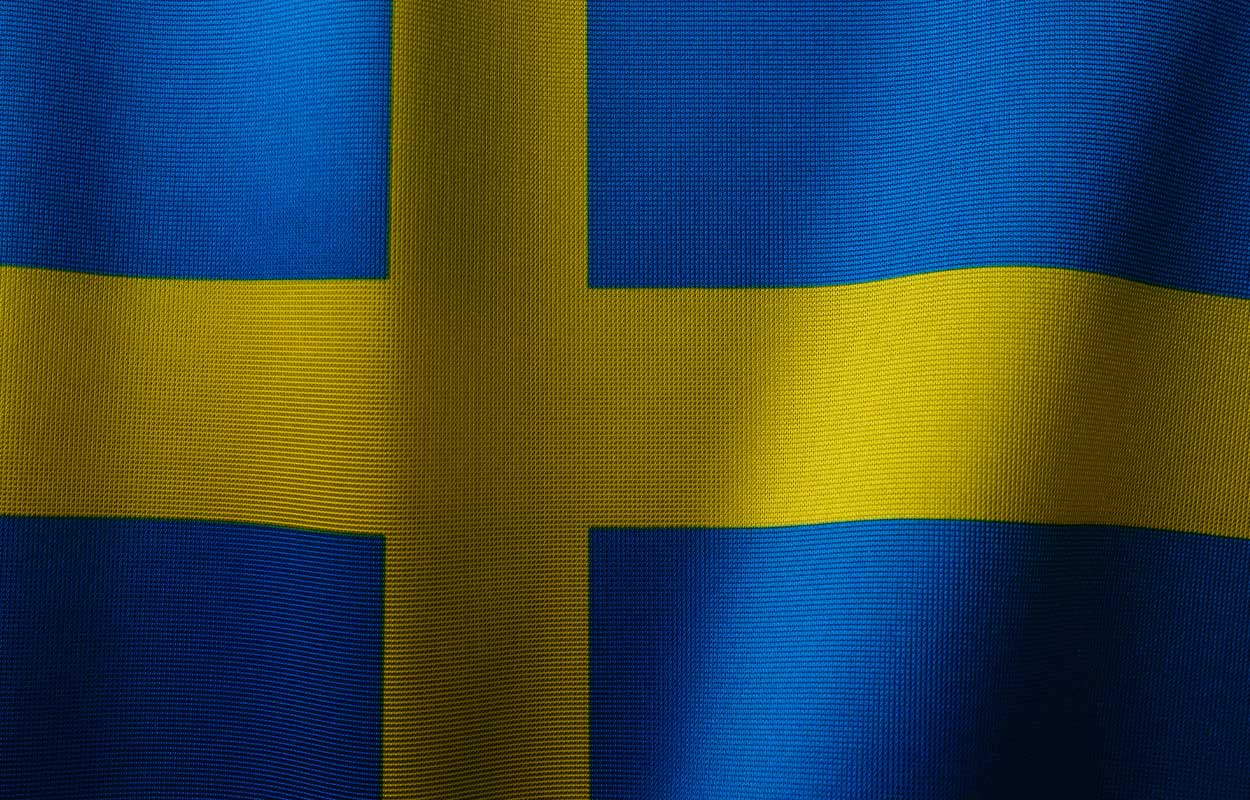 Sveriges herrlandslag i fotboll – bästa elvan 2025